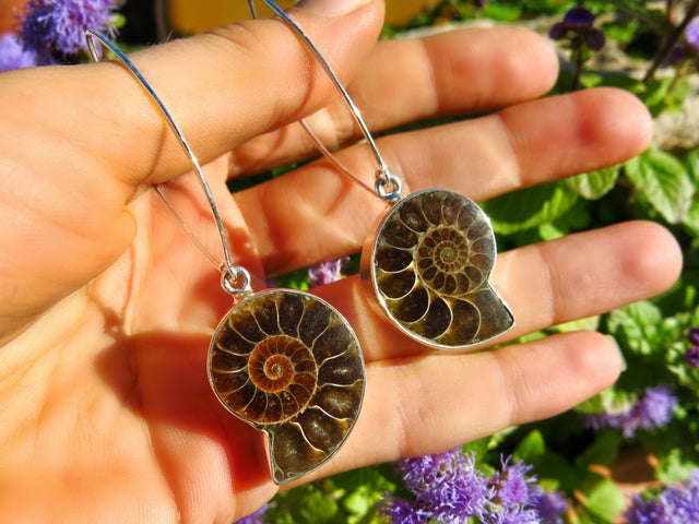 Giant Ammonite Fossil Earrings in pure Sterling Silver - 925 Hallmarked